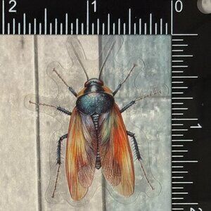 🌀10/$10🌀 Translucent Moth Dragonfly Beetle Reusable Waterproof Sticker Decal